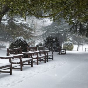 Weihnachten zu Gast bei Luther, Schiller, Goethe…